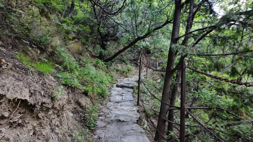 A rugged stone mountain path shaded by green trees on both sides.