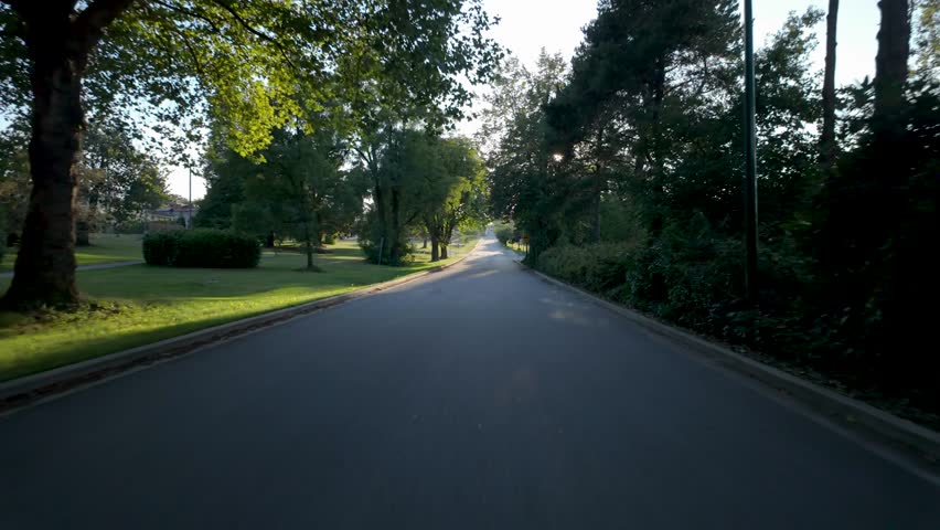 Sunny Drive Along a Beautiful Tree-Lined Road in Lower Mainland, British Columbia, Canada