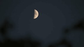 Static shot footage of a half moon in the sky during dusk time. - Powered by Shutterstock - Get 15% off with code: PIKWIZARD15