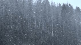 Serene Winter Snowfall in a Dense Forest Landscape - Powered by Shutterstock - Get 15% off with code: PIKWIZARD15