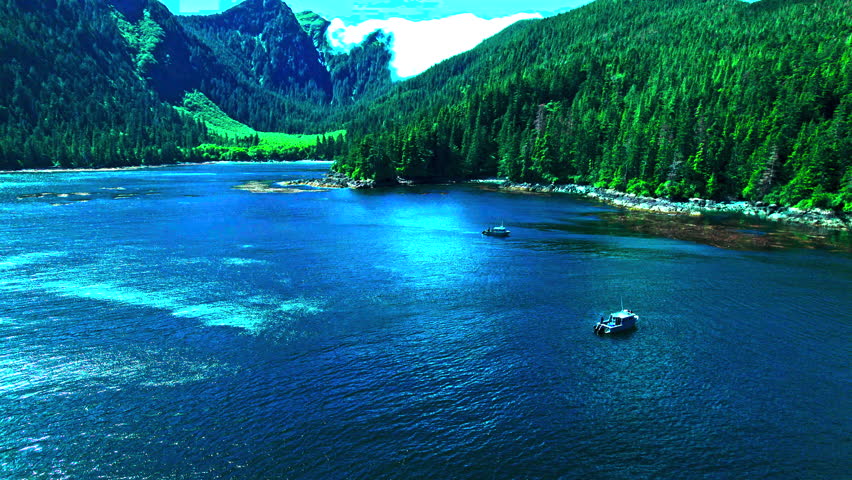 Exploring beautiful boats in steamboat bay, alaska on a sunny day