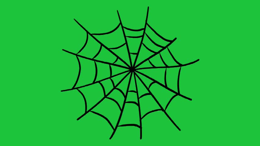 Animated black spider web expands and contracts on a green screen. Perfect for Halloween, spooky themes, or creating a sense of entrapment