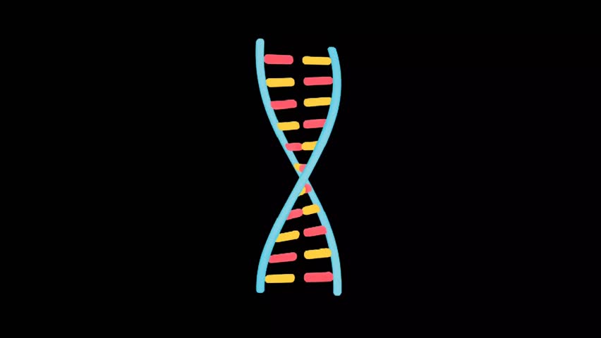 Colorful animation of a DNA double helix twisting on a black screen, ideal for educational content in genetics and molecular biology - Powered by Shutterstock - Get 15% off with code: PIKWIZARD15