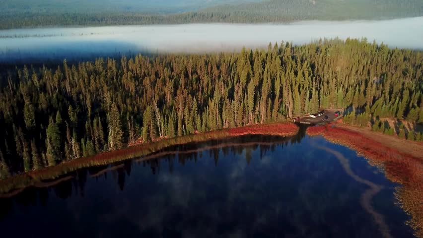 4K cinematic aerial drone footage filmed near Bend, Oregon, showing morning mist gently covering a dense evergreen forest as the sun rises in golden light.