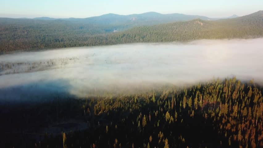 4K cinematic aerial drone footage filmed near Bend, Oregon, showing morning mist gently covering a dense evergreen forest as the sun rises in golden light.