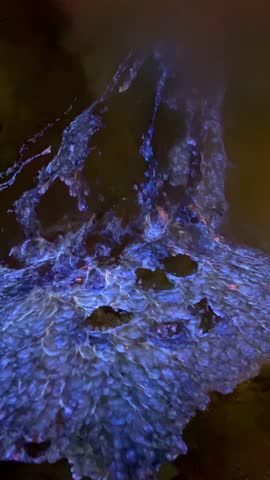 Mesmerizing blue fire flames ignite on the dark ground of Kawah Ijen volcano, creating a stunning and dramatic sulfur gas spectacle at night