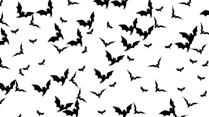 Ghostly doodle bats create hypnotic halloween patterns made for looping motion backgrounds, spooky wallpaper animations, festive decor visuals, modern art textures, and creative horror design