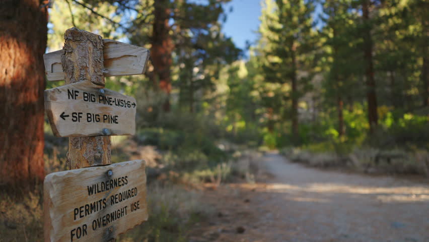 A hiker examines a wooden trail sign near a scenic path in a lush forest. Nature adventure and exploration. Big Pine Lake. California