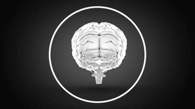 Animation of digital human brain in circles against abstract background. Digitally generated, hologram, illustration, shape, anatomy, artificial intelligence and technology concept. - Powered by Shutterstock - Get 15% off with code: PIKWIZARD15