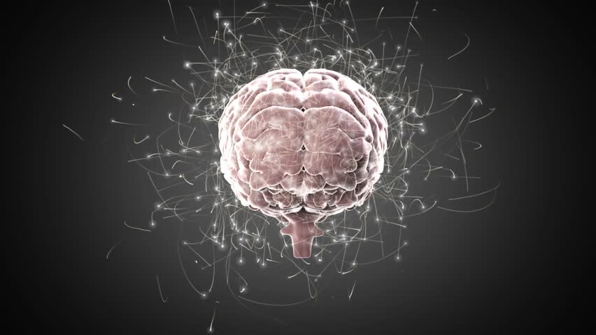 Animation of network of connections over spinning human brain icon and mathematical equations. Medical research and business technology concept - Powered by Shutterstock - Get 15% off with code: PIKWIZARD15