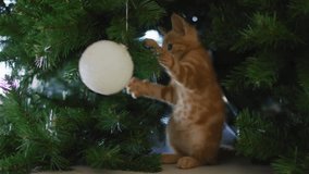 Animation of confetti falling over frohe weihnachten text against cat playing with bauble decoration. Christmas festivity and celebration concept - Powered by Shutterstock - Get 15% off with code: PIKWIZARD15