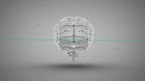 Animation of graph and globe over rotating human brain against gray background. Digitally generated, hologram, anatomy, report, business, globalization, artificial intelligence and technology concept. - Powered by Shutterstock - Get 15% off with code: PIKWIZARD15