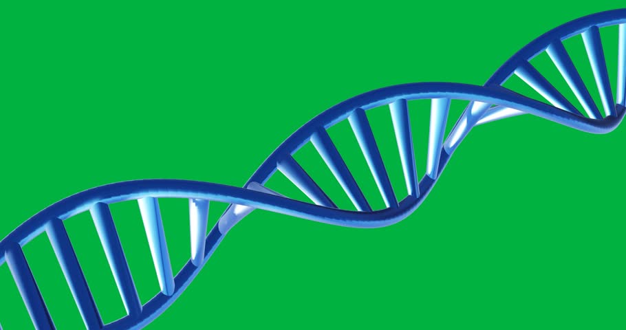 Animation of blue dna strand spinning on transparent background. Science, research and medicine concept digitally generated video.