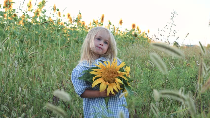 Blonde little child girl in dress holds a bouquet of sunflowers in a field at sunset in the evening.