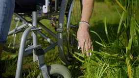 Close-up of elderly female wheelchair user hand gently touching green plant, feeling vitality and connection with nature while enjoying freedom and leisure outdoors. - Powered by Shutterstock - Get 15% off with code: PIKWIZARD15