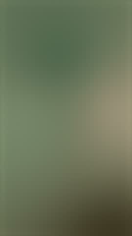 Animated gradient background with flowing camouflage tones of green, olive, khaki, beige, and brown. Perfect for military design, motion graphics, and creative visual projects