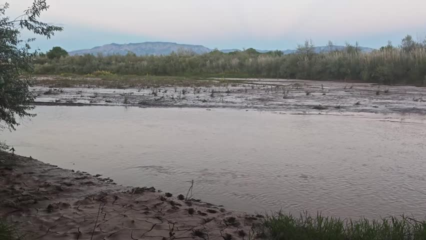 Muddy banks of the Rio Grande River slowly flowing by in the Bosque in Albuquerque, New Mexico, USA with the Sandia Mountains in the background