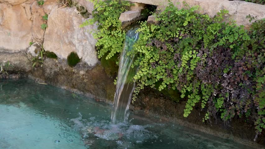 Clear water flows gently from a rocky edge into a calm blue pool, surrounded by vibrant green vegetation. Sunlight reflects off the water in a peaceful natural environment.
