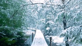 Snowy forest bridge in gentle snowfall, tranquil winter path - Powered by Shutterstock - Get 15% off with code: PIKWIZARD15