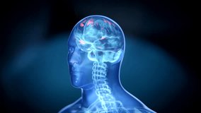 Translucent human head with glowing intricate red-blue wireframe hologram brain. 3d render animation 4k - Powered by Shutterstock - Get 15% off with code: PIKWIZARD15