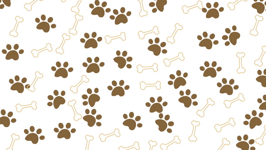 dog paw, cat paw print isolated on white background alpha channel. 4k animated video seamless loop pattern