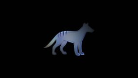Holographic digital rendering of extinct thylacine rotating, showcasing iridescent 3d model against sleek black background with seamless looping motion - Powered by Shutterstock - Get 15% off with code: PIKWIZARD15