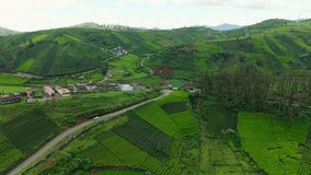 Breathtaking aerial view of Ooty’s lush green tea plantations in the Nilgiris, with winding mountain roads, hillside villages, and misty valleys showcasing the serene beauty of Indian hill station. - Powered by Shutterstock - Get 15% off with code: PIKWIZARD15