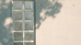 The swaying shadows of trees on concrete and glass block walls. - Powered by Shutterstock - Get 15% off with code: PIKWIZARD15