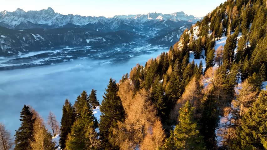Stunning aerial drone view from a sunlit, snowy forest, looking out over a valley filled with a sea of fog. In the distance, the majestic snow-capped peaks of the Alps rise against a clear sky.