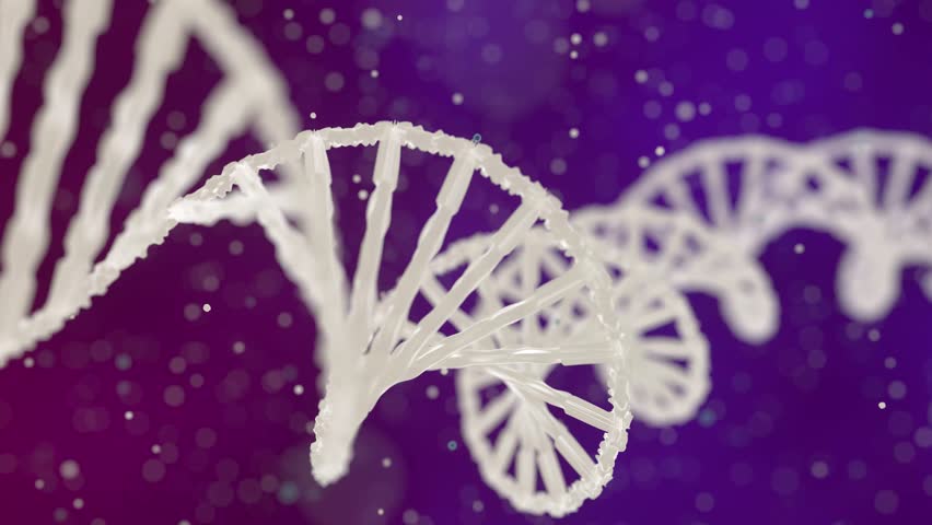 DNA strand processing with binary coding, scientific data animation in progress. Genetics, biotechnology, bioinformatics, molecular, data analysis, DNA sequencing - Powered by Shutterstock - Get 15% off with code: PIKWIZARD15