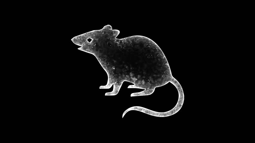 The rat Dumbo saber animation on black background.