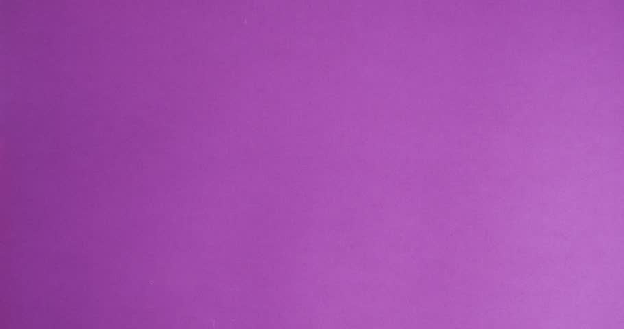 Halloween composition with Jack-o-lantern and black bats on purple background. 4K looped stop motion animation