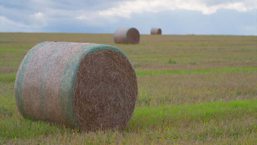 A Beautiful Scenic Landscape Featuring Hay Bales in a Vast Open Field Under a Blue Sky