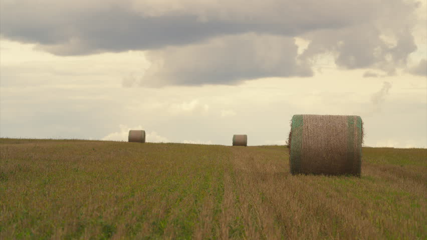 Beautiful and Serene Hay Bales Beautifully Depicted in a Tranquil Rural Landscape Setting