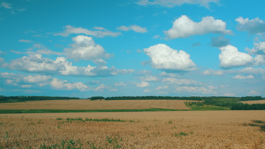 A Beautiful Landscape featuring Rolling Fields under a Bright Blue Sky thats serene and tranquil