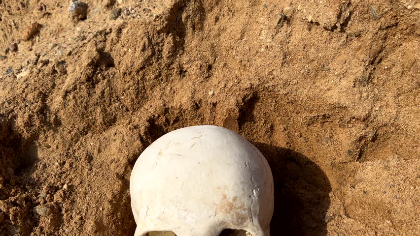 Skull at Treasure Chest Filled With Rolled Cash Discovered. Human skull with treasure chest buried in sand, revealing bundles of Dollars Cash. Hide money. Skeleton of treasure hunter with money.