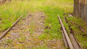 Overgrown railway tracks at Saint-Géry evoke nostalgia and solitude - Powered by Shutterstock - Get 15% off with code: PIKWIZARD15