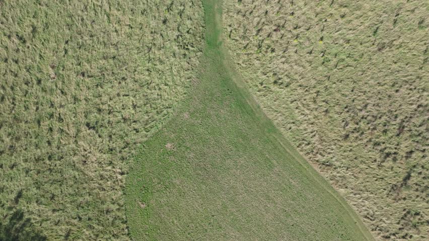 Aerial view of a small shed nestled in a field, surrounded by trees and a path, casting shadows in the afternoon light, Tranent, Scotland, United Kingdom.
