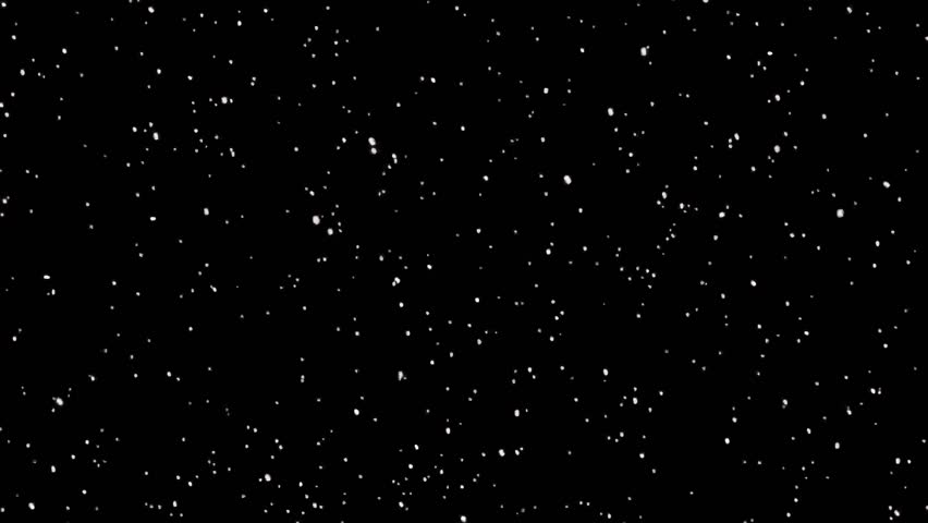Beautiful, realistic snow falls gently against a stark black background. Perfect for winter scenes, holiday overlays, or creating a magical, calm atmosphere.