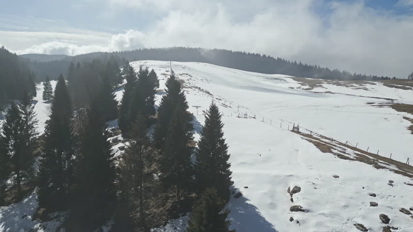 Oblique aerial of a snowy ridge lined with conifers and a fence on the Cansiglio plateau, Italy; quiet winter scenery with tracks on the snow.