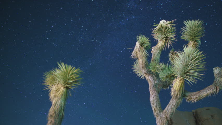 Joshua Tree National Park Milky Way Galaxy Over Joshua Tree Northeast Sky Dolly R Astrophotography Time Lapse California USA
