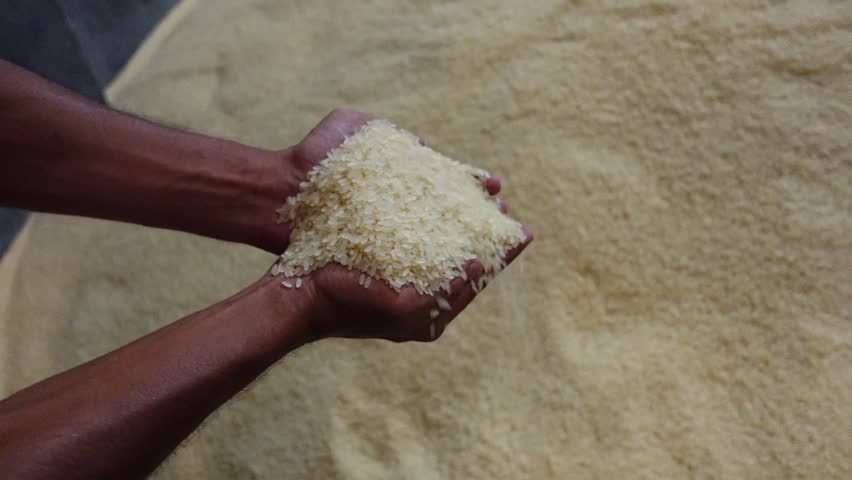 A man displays fresh rice using his two hands in a rice warehouse.