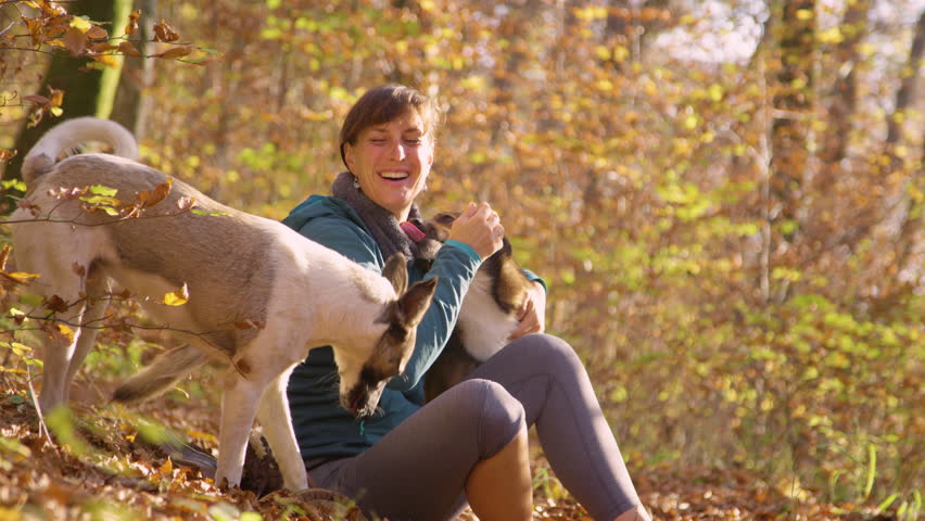 Hugs and kisses between two happy dogs and a smiling woman, sitting on the forest floor surrounded by autumn leaves. Pristine love and companionship under the golden sunlight in the embrace of fall.