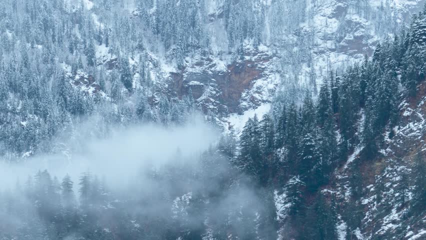 4K Time Lapse of storm clouds surrounds snowy pine forest in mountains at Uttarakhand. Winter storm on mountain. Fresh snowfall on pine trees, white blanket of snow. Winter background.