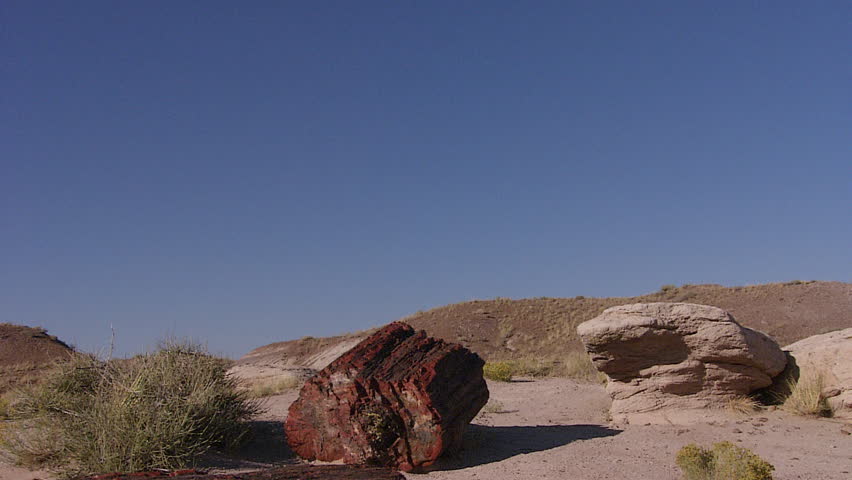 A bus drives through the petrified forest