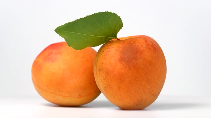 Close up view of Apricots with Leaves studio shot on a white background