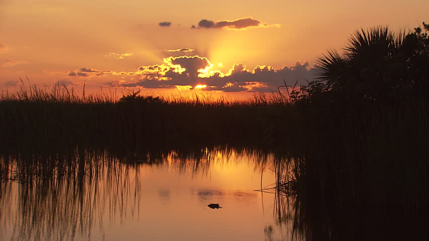 The sun sets over the everglades