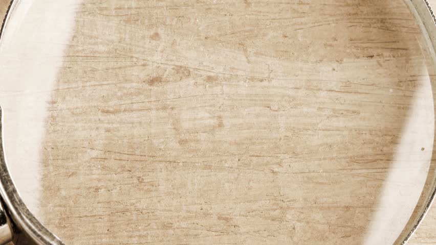 PEST CONTROL message visible through a magnifying glass on papyrus paper. Pest control service protective concept