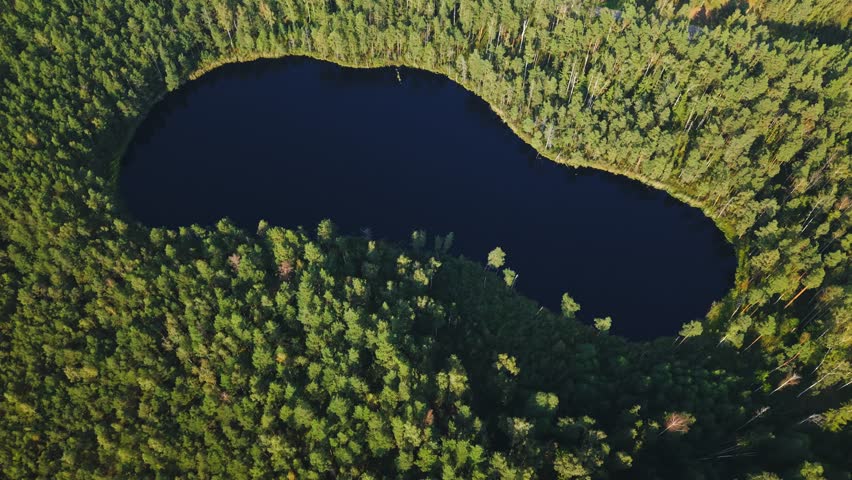 Flyover of circular water body surrounded by lush green trees in remote wetland ecosystem