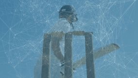 Male cricket batsman holding bat as red ball approaches, swinging and missing, dislodging bails. Athlete, sports, action, competition, outdoor, adrenaline, dynamic - Powered by Shutterstock - Get 15% off with code: PIKWIZARD15